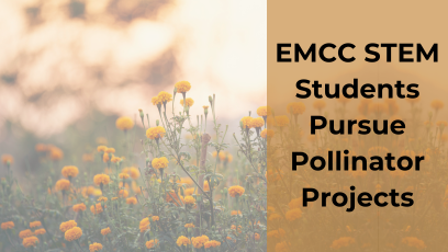 EMCC STEM Students Pursue Pollinator Projects