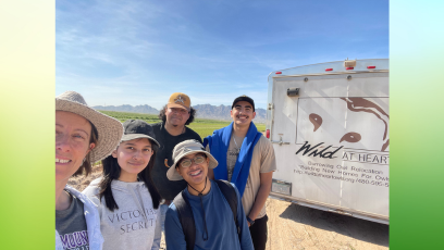 Mountain Lions Help Build Homes for Burrowing Owls