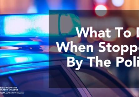 What To Do When Stopped By The Police