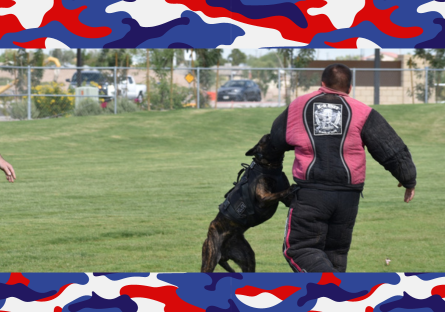 K-91, Officer with trained dog