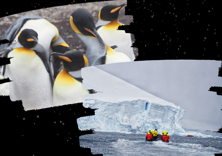 Photo of 5 penguins in a group and photo of a small raft heading toward a landing area in front of an Antarctica snow cliff.