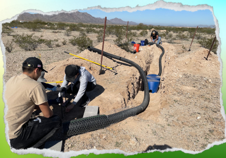 Mountain Lions Help Build Homes for Burrowing Owls