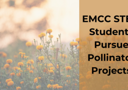 EMCC STEM Students Pursue Pollinator Projects