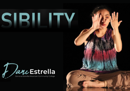 Image of woman sitting crossed legged with words "Visibility" and "DancEstrella"