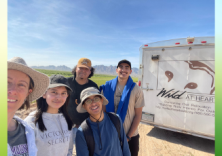 Mountain Lions Help Build Homes for Burrowing Owls