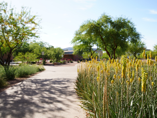 campus outdoors image