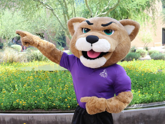 Roary our mountain lion mascot