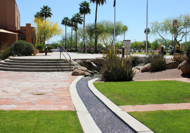 Sunny view of campus